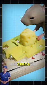 How Mouse Traps Work 🐀🧀