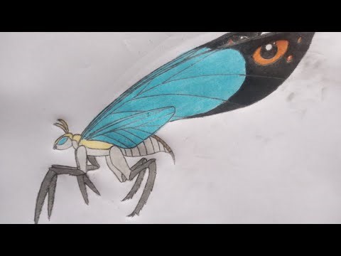 Drawing and colouring Queen 👑 Mothra🦋 step by step.