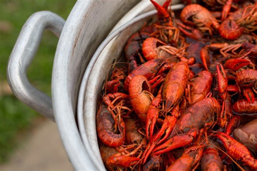 Countdown to crawfish season: How to find the best mudbugs at their peak