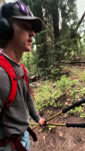 How I Lured a Brook Trout Out of Hiding — Easy Trout Fishing Tip