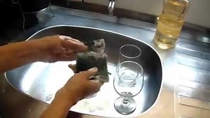 254K views · 3.6K reactions | 11 DICAS PARA LIMPEZA USANDO VINAGRE | Alerta verbal | Facebook