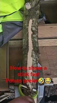 debarking a stick #newvideo #woodscraft #woodworking #walkingsticks #fyp