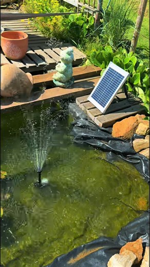 Cette année nous avons quelques bébés poissons rouge . En espérant que l’évolution se passe bien . ❤️💞❤️#bassin #poissonrouge #exterieur #nature #poisson