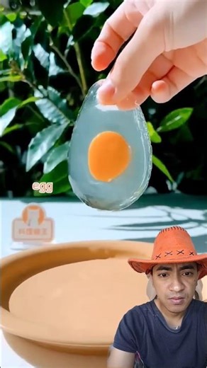 make mango pudding‼️