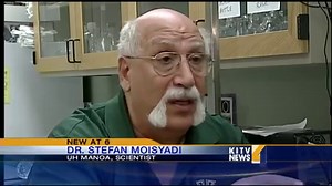 Rabbits glow in dark after experiment