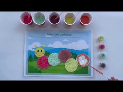 Color Drop Activity for Kids | Fun Preschool Learning Game | Brainy Bugs