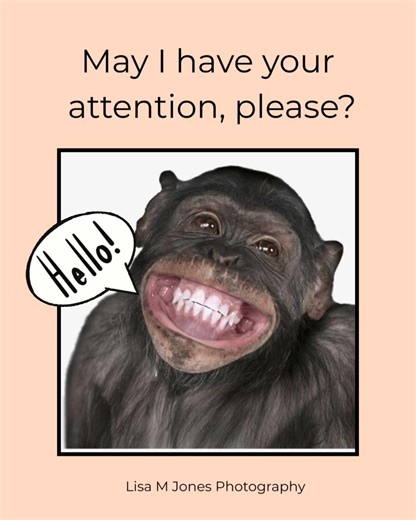 I have had a few comments recently about ￼my humorous posts, suggesting that I “stick with photography”, and I’d like to address that. This is my page, therefore I will post what I please. 😉 My sense of humour is a HUGE part of who I am, and there isn’t a day goes by that I don’t laugh. If you don’t enjoy a having a laugh or two and feel compelled to leave a negative comment, feel free to unfollow me because this isn’t the page for you. 👋 Thanks! . . #laughteristhebestmedicine #lifeistooshort 