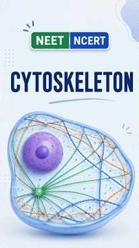 Cytoskeleton = Cell's Internal Framework | NEET #neet2027 #biology #celltheunitoflife