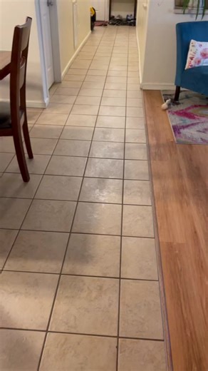 Kind of chill. #lovelogan #chill