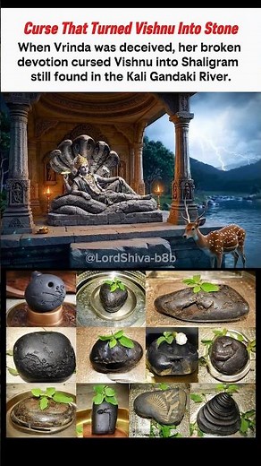 Why Lord Vishnu Turned into Stone