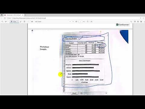 NSDA Assessment Graphics Design Level-3 MS Word, Excel & PowerPoint In this video tutorial roxy