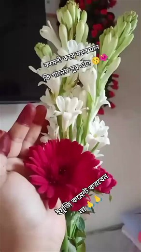 see translation 🥀🥀🥀🥀