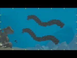 School Progression | Finding Nemo