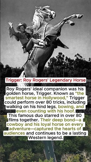 Trigger Roy Rogers' Legendary Horse