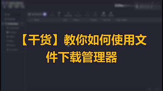 【干货】教你如何使用文件下载管理器