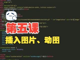插入动图/图片