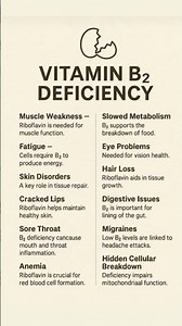 12 Warning Signs of Vitamin B2 Deficiency You Should NEVER Ignore 🚨⚠️ | Riboflavin Explained