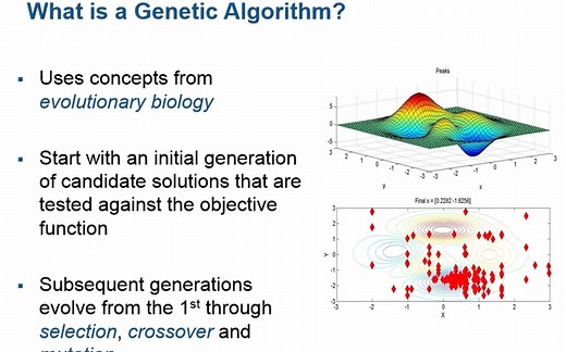 【中文字幕】实例讲解什么是遗传算法（Genetic Algorithm）