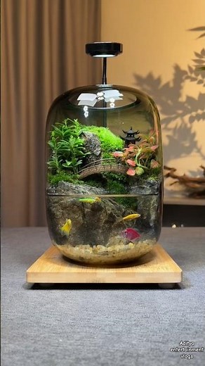 Glass Jar Aquarium | Mini Ecosystem Setup | Beautiful Aquascape Design #shorts #comedy