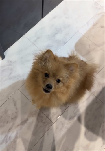 水曜日の午後のルーティンVlog