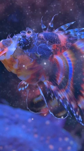 We Are Surrounded By Many Weird Alien Things We Don't Notice By They Can Change Our World Forever We Are Surrounded By Many Alien Things That Can Change Our World Forever by Igor Kryan We are surrounded by many wonderful and horrible things but we don't even know about their existence, yet many of them can change our world forever in unimaginable ways and, by reading this book, Apes Descendants, 7 Planets, 70 Million Years you learn what is garbage and what is light, what the far future holds fo