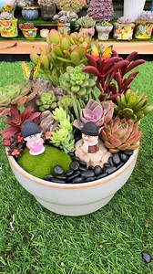 3.8M views · 59K reactions | Beautiful ideas for your succulent garden 華 | Succulents | Facebook