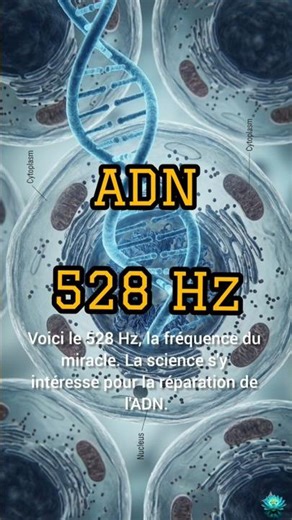 ✨ 528Hz : La Fréquence des Miracles (Réparation ADN)
