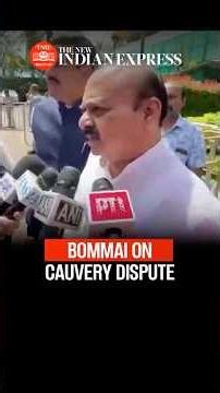 'Don't rely on temporary relief by nature': Basavaraj Bommai warns Karnataka govt on Cauvery row