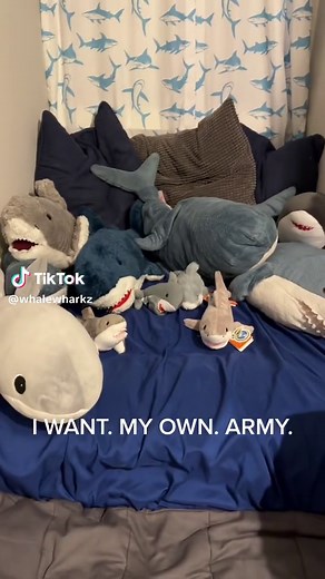 I DESERVE IT. #shark #sharks #autism #actuallyautistic #spinterest #sharkspecialinterest #plushies #sharkplushie #autistic
