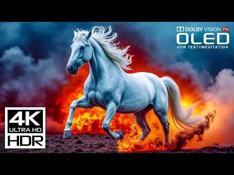 4K Video ULTRA HD OLED Demo | Dolby Vision HDR 120fps (8K/4K TV)