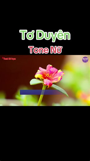 Karaoke Tơ Duyên Tone Nữ Nhạc Sống Cha Cha