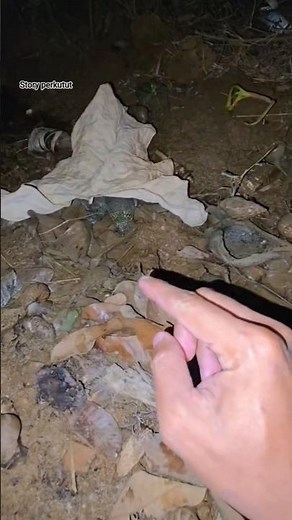 three-headed animal behind the leaf #shortvideo