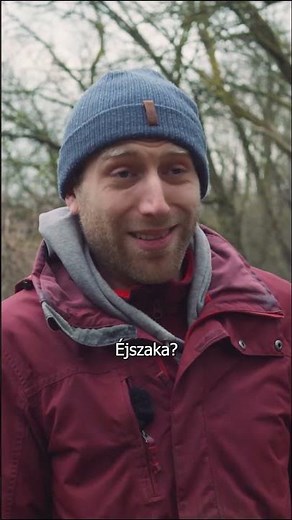 Mazsola és Tádé Horror Part 4.