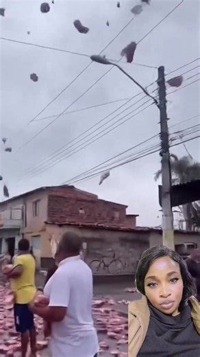 353K views · 1.9K reactions | See meat ooooo #fblifestyle | Peace world | Facebook