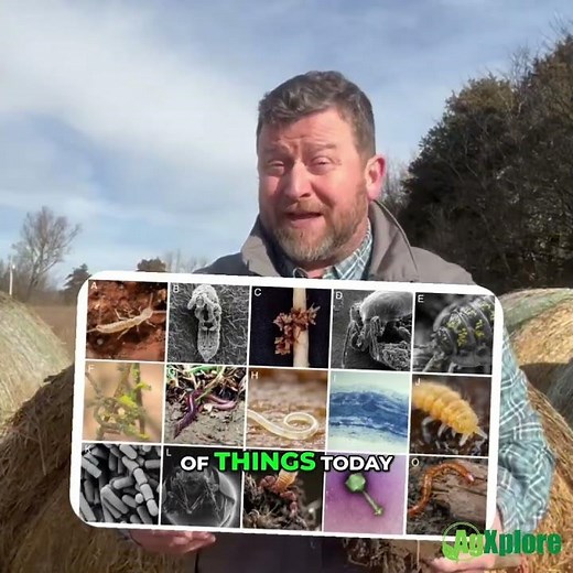 The Hidden World Beneath Your Fields: Understanding Soil Biology and Why It Matters