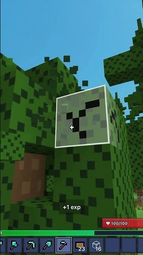 How to Get FREE MAPLE SAPLINGS in Greenville!