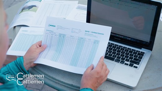 Don't miss out on tonight's episode of NCBA's Cattlemen to Cattlemen, where NEOGEN shares invaluable insights on how genomic testing can boost your herd's quality and economics. Tune in to RFD-TV for an eye-opening experience! | National Cattlemen's Beef Association