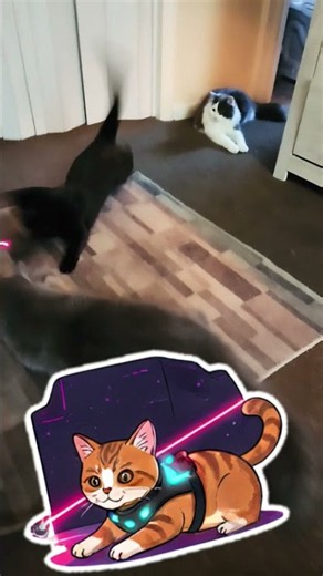 POV: Your Cats Discover Laser Tag 😂🐱🔴