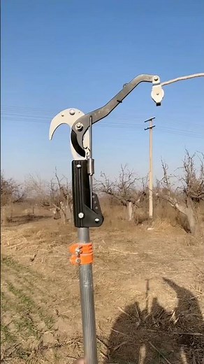 Tree branches cutting process - Goodtools and machinery make work easy