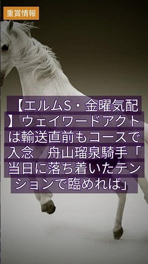 【最新競馬情報】2026/8/7 【エルムS・金曜気配】ウェイワードアクトは輸送直前もコースで入念 舟山瑠泉騎手「当日に落ち着いたテンションで臨めれば」 #Shorts