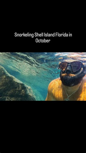 Snorkeling Shell Island Florida with Flippin Awesome Adventures #shellisland | Flippin' Awesome Adventures