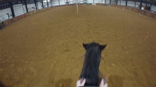 Expert Tips for Barrel Racing and Pole Bending