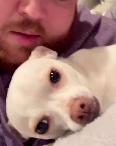 Confessing to my dog 😭 | Austin Miles Geter