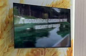 ADA University on Reels | Facebook