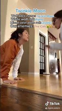 Twinkle Moon Vs. The Cats 💥🌝😾 #shorts