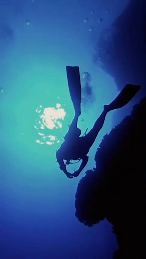 Experience Scuba Diving all year long - Costa Blanca 🤿🐠