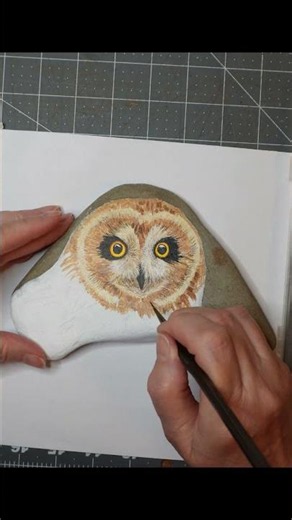 Realistic Owl Painted on Stone #rockpainting #art #animalart #acrylicpainting #painting #owl