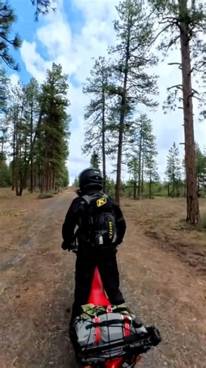 Dirt bike ride through the pine trees ￼ (steens mountains)