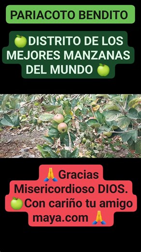 Sergio Marco Rodriguez on Reels