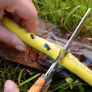 10M views · 22K reactions | Best gardening and backyard hacks that actually work  | 5-Minute Crafts | Facebook